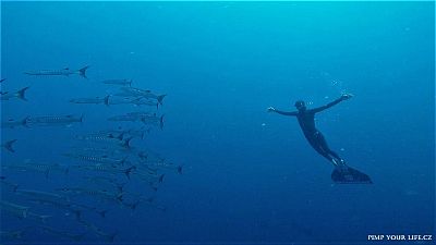 Freediving na Bali: 14-dniowy kurs z możliwością ukończenia poziomu FII 1 i 2